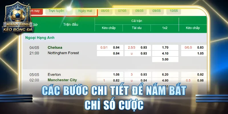Các bước chi tiết để nắm bắt chỉ số cược