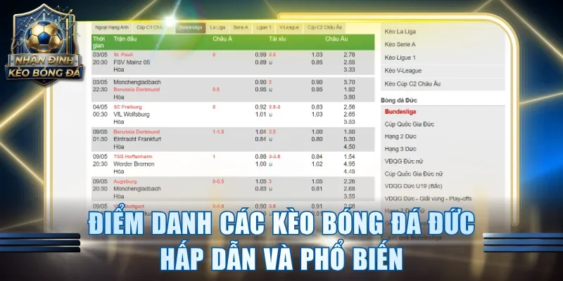 Điểm danh các kèo bóng đá Đức hấp dẫn và phổ biến