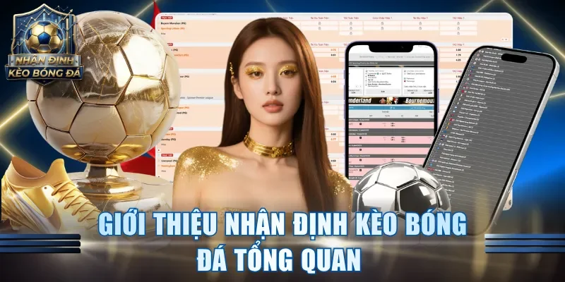 Giới thiệu Nhận định kèo bóng đá tổng quan 