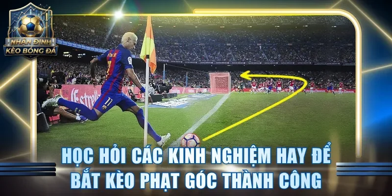 Học hỏi các kinh nghiệm hay để bắt kèo phạt góc thành công