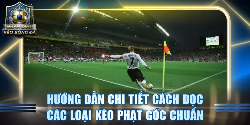 Hướng dẫn chi tiết cách đọc các loại kèo phạt góc chuẩn