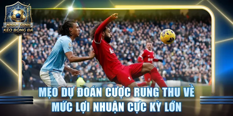 Mẹo dự đoán cược rung thu về mức lợi nhuận cực kỳ lớn
