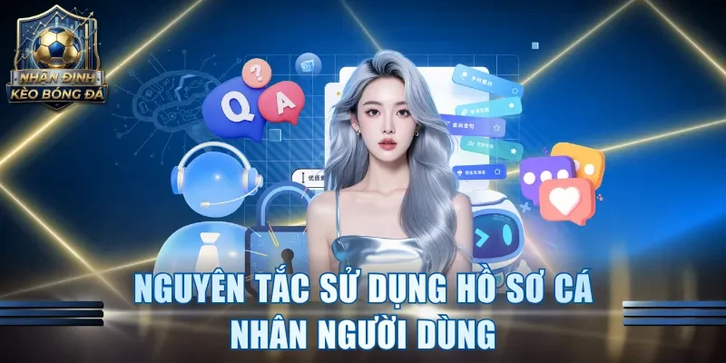Nguyên tắc sử dụng hồ sơ cá nhân người dùng