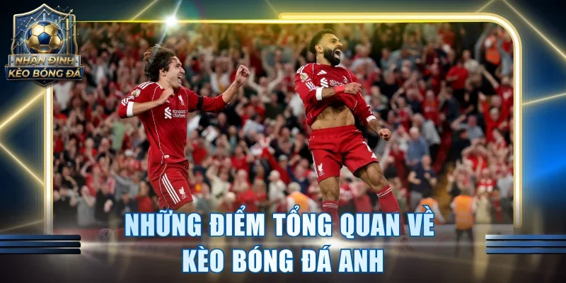 Những điểm tổng quan về kèo bóng đá Anh