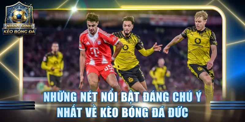 Những nét nổi bật đáng chú ý nhất về kèo bóng đá Đức