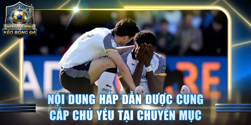 Nội dung hấp dẫn được cung cấp chủ yếu tại chuyên mục